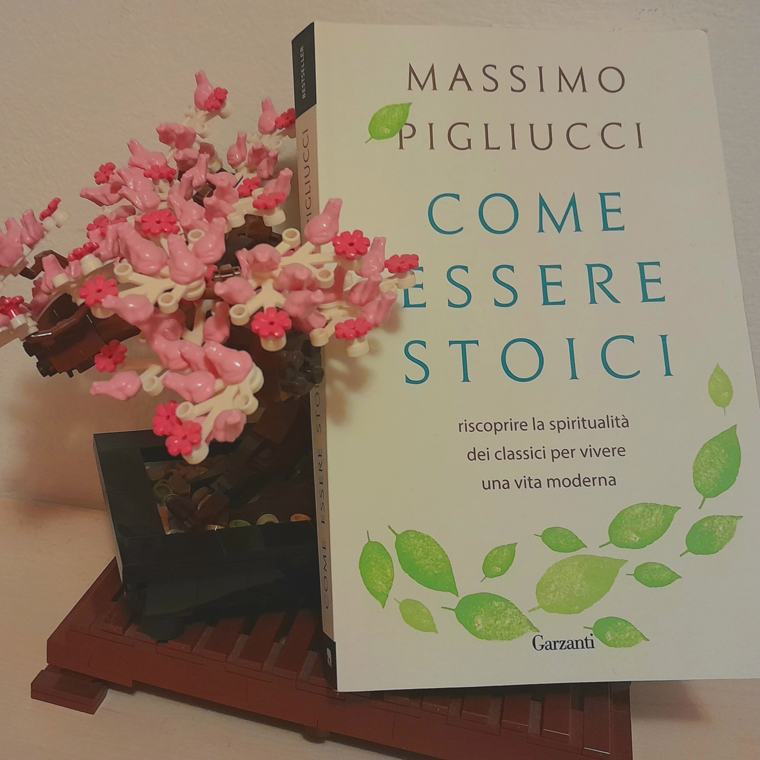 Stoicismo moderno: filosofia antica e nuovo movimento
