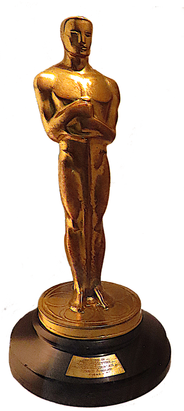Candidati Oscar Flow e Il robot selvaggio: i significati